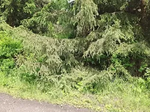 Prodej pozemku, Nejdek, 104 m2