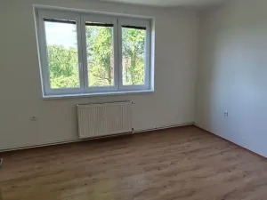 Pronájem bytu 3+1, Ptýrov, 73 m2