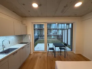 Pronájem bytu 1+kk, Brno, Koliště, 22 m2