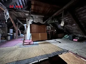 Prodej chalupy, Blšany, 90 m2