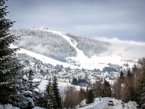 Prodej bytu 1+kk, Loučná pod Klínovcem, 35 m2