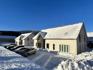 Prodej bytu 3+kk, Loučná pod Klínovcem, 48 m2