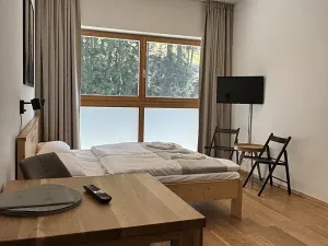 Prodej bytu 1+kk, Pec pod Sněžkou, 32 m2