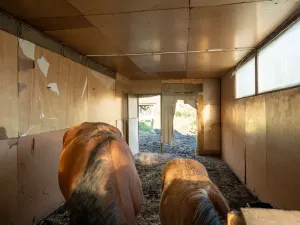 Pronájem - jiné, Markvartovice, 111 m2