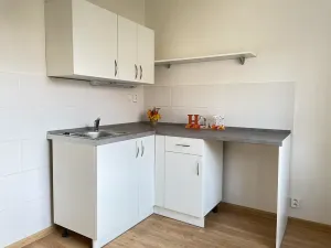 Pronájem bytu 1+1, Litvínov, Podkrušnohorská, 30 m2