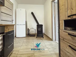 Prodej bytu 1+1, Tisá, 43 m2