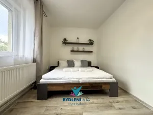 Prodej bytu 1+1, Tisá, 43 m2