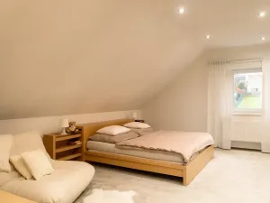 Prodej rodinného domu, Domašov u Šternberka, 500 m2