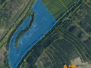 Prodej louky, Bradlec, 123742 m2