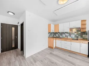 Pronájem bytu 1+1, Plzeň - Doubravka, Masarykova, 44 m2