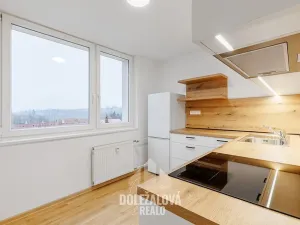 Pronájem bytu 1+1, Malý Beranov, 46 m2