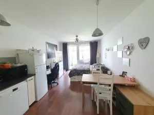 Pronájem bytu 1+kk, Praha - Horní Měcholupy, Modenská, 38 m2