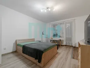 Prodej bytu 1+kk, Havířov, Balzacova, 24 m2