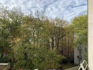 Pronájem bytu 2+1, Praha - Vinohrady, Francouzská, 63 m2