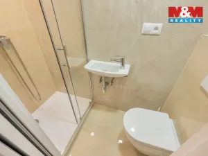 Prodej bytu 2+kk, Praha - Žižkov, Jana Želivského, 46 m2