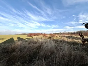 Pronájem rodinného domu, Jesenice - Zdiměřice, Skřivanová, 345 m2