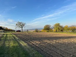 Prodej sadu/vinice, Blučina, 2677 m2