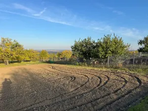 Prodej sadu/vinice, Blučina, 2677 m2