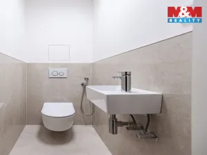 Prodej bytu 2+kk, Praha - Holyně, náměstí Pod lípou, 58 m2