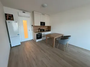 Pronájem bytu 1+kk, Praha - Žižkov, Tetauerova, 33 m2