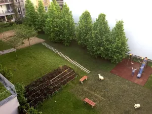 Pronájem bytu 2+kk, Brno, Leitnerova, 68 m2