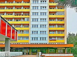 Pronájem bytu 1+kk, Hradec Králové, třída Edvarda Beneše, 32 m2