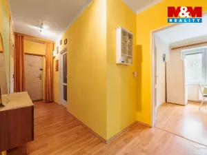 Pronájem bytu 2+1, Sokolov, Svatopluka Čecha, 55 m2