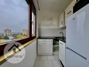 Pronájem bytu 1+kk, Praha - Záběhlice, Dunická, 18 m2