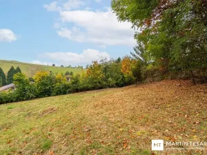 Prodej pozemku pro bydlení, Velké Popovice, 1327 m2