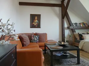 Pronájem bytu 1+1, Brno, Zvěřinova, 53 m2