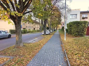 Prodej bytu 2+1, Čelákovice, V Prokopě, 65 m2