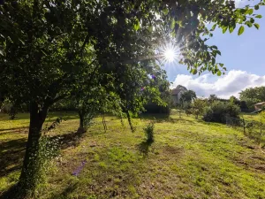 Prodej pozemku pro bydlení, Sklené nad Oslavou, 1170 m2