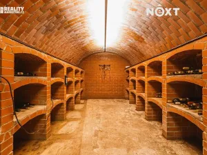 Prodej rodinného domu, Moravany, V Jámách, 382 m2