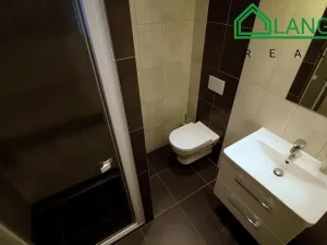 Pronájem bytu 1+kk, Brno, Dobrovského, 40 m2