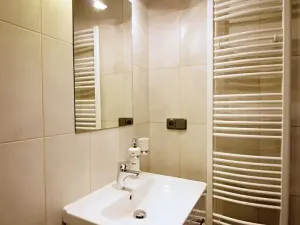 Pronájem bytu 1+kk, Brno, Dobrovského, 40 m2