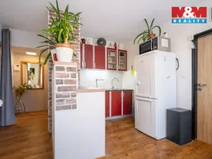 Prodej bytu 1+1, Zliv, Nová, 43 m2