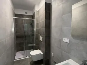 Pronájem bytu 1+kk, České Budějovice, Rudolfovská tř., 30 m2