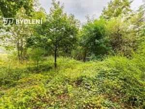 Prodej zahrady, Malé Žernoseky, 1568 m2