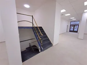 Pronájem obchodního prostoru, Praha, Cimburkova, 357 m2