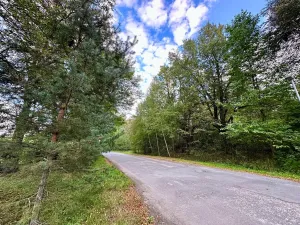 Prodej komerčního pozemku, Luštěnice, 9368 m2