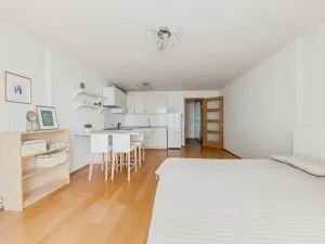 Pronájem bytu 1+kk, Praha - Holešovice, Komunardů, 44 m2