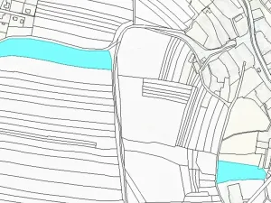 Dražba pole, Výrov, 21598 m2