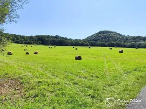 Prodej louky, Třebušín, 74552 m2