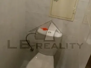 Pronájem bytu 1+1, Kolín, Dělnická, 36 m2