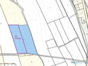 Prodej louky, Police nad Metují, 9001 m2