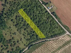 Pronájem zahrady, Dolní Kounice, 2459 m2