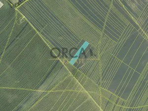 Prodej pole, Moravská Nová Ves, 13376 m2