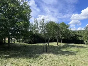 Prodej rodinného domu, Kožušice, 230 m2