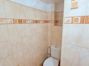 Prodej rodinného domu, Dolní Hbity, 140 m2