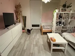 Pronájem bytu 1+kk, Praha - Střížkov, Makedonská, 32 m2
